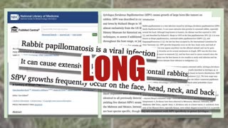 Fact Check: 'Weird Tentacles' Or 'Horns' On Rabbit Heads Caused By Common Virus