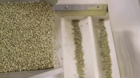 America's Mayor Live (853): New Video Raises New Questions on Why Alex Preti was Engaging ICE Agents