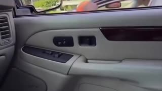 Female Drivers