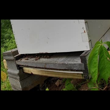 Thursday Morning Sun Up