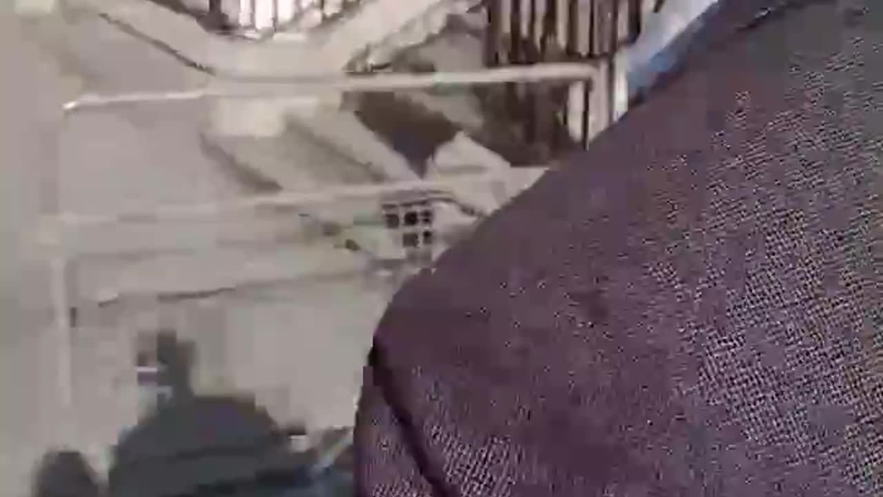 🚨THEY WILL NOT BE ABLE TO WALK DOWN THE STREET🇮🇪