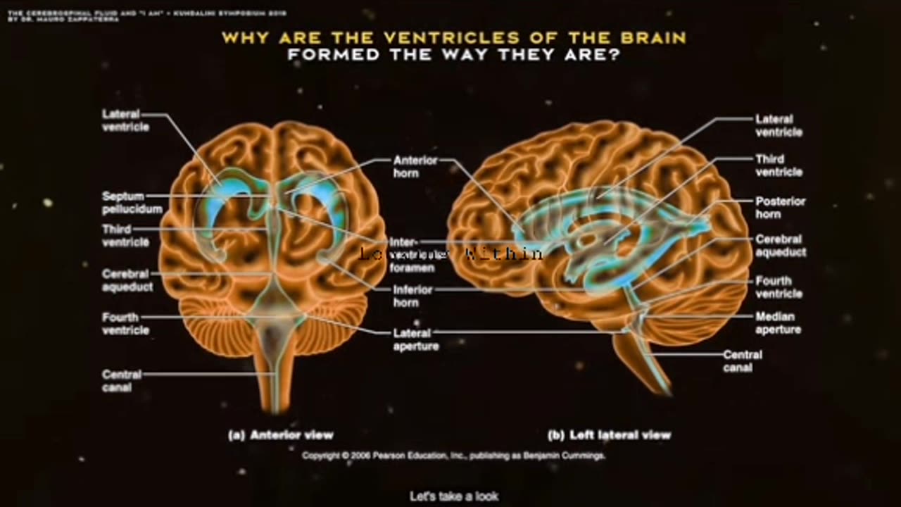 THE SCIENCE OF SACRED CREATION