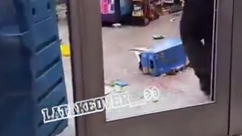 NIGGERS "take advantage of" (Riot LA LOOTING TAKEOVER)
