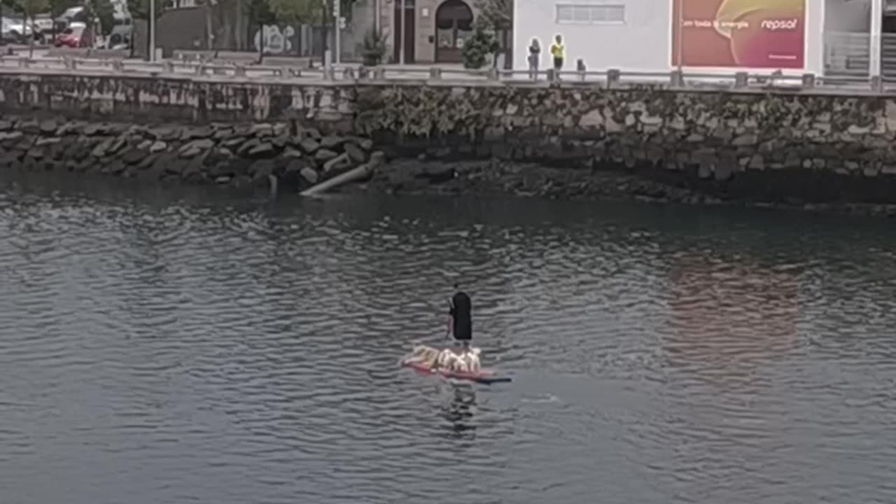 Paddle Boarding with Dogs in Pontevedra