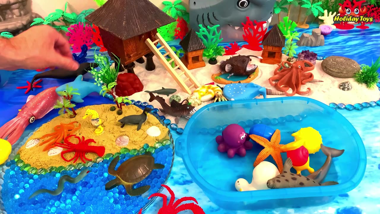 Squid Swim in the Deep Sea to Avoid Shark Attacks