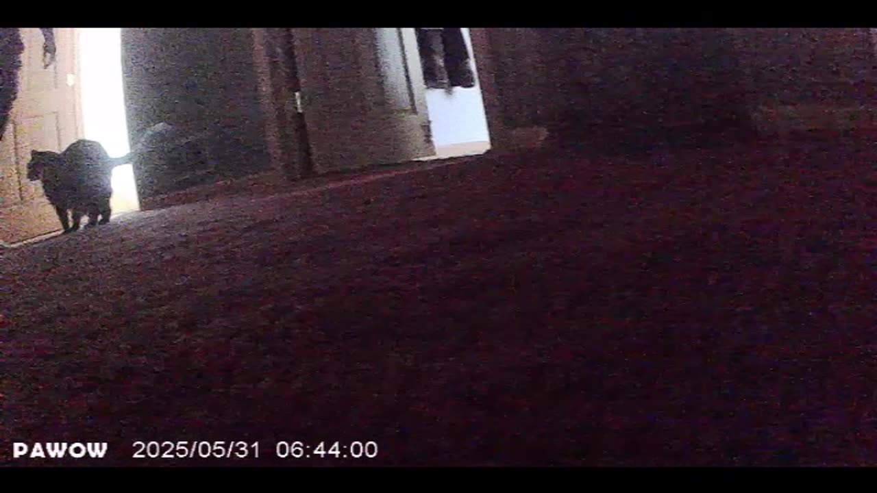 Earl's Turn with the Camera