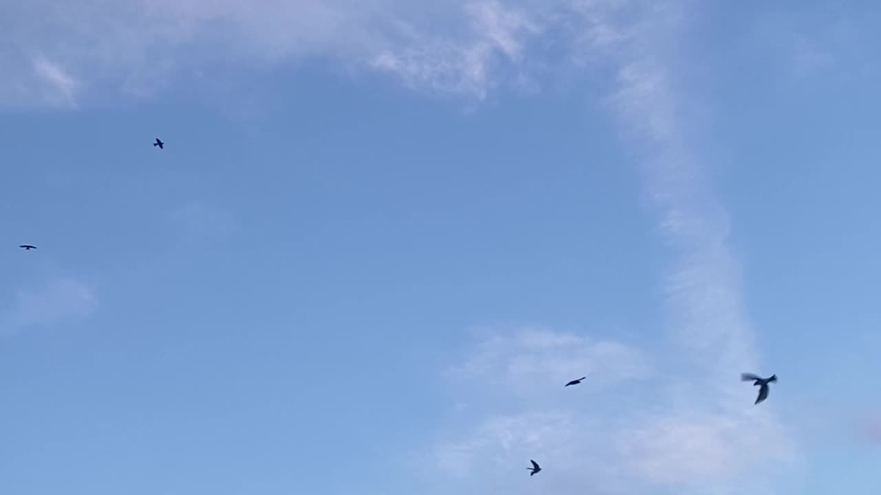 Martins returning home