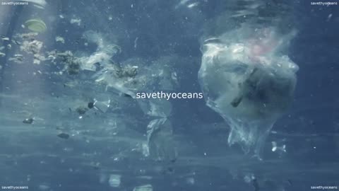 Pour La JournÃ©e Mondiale Des OcÃ©ans