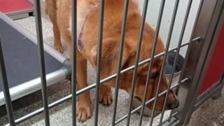 VID_20250917_150051457