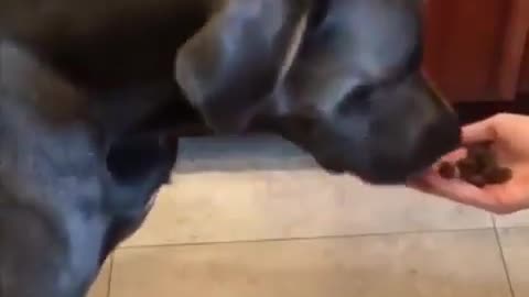 Realizing The Wrong Choice