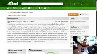 Prof.Grass Reviews: Grease Monkey [Elevate]