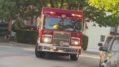 Fire Truck on Scene 🚒 | Quick Ambience