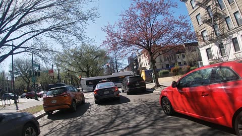 ROLL UP & ROLL UP SUM MO