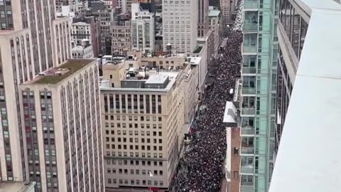 WHO IS FUNDING ALL THESE PROTESTERS IN NEW YORK CITY?