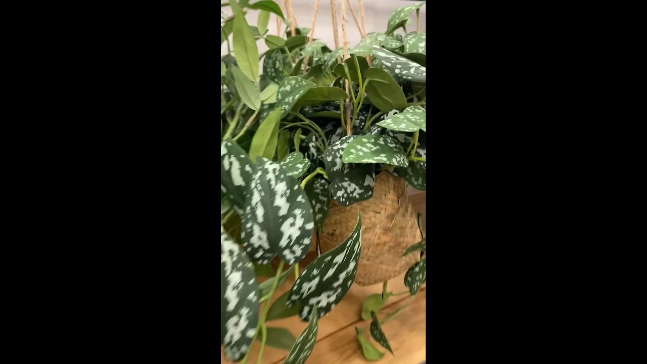 House decor