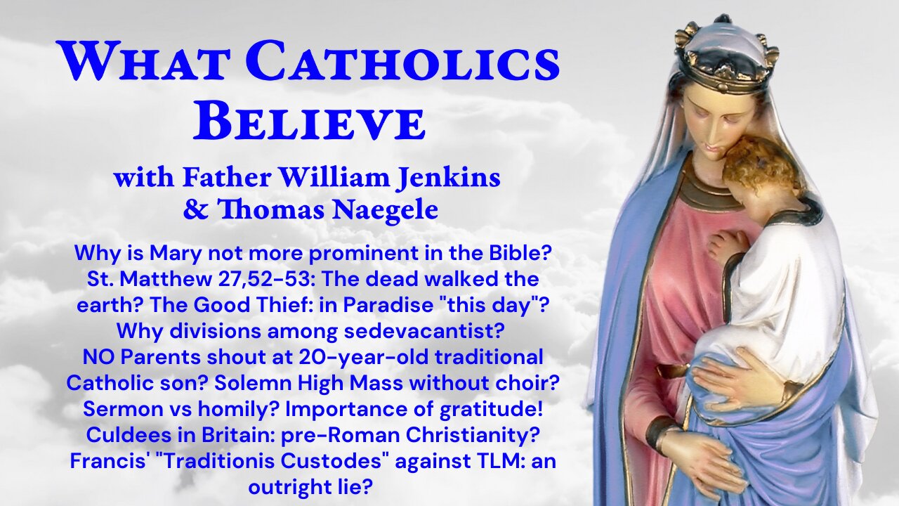 Mary minimized in Bible? Walking dead? Non-Roman Christianity? Sedes disputes? Anti-TLM lies!