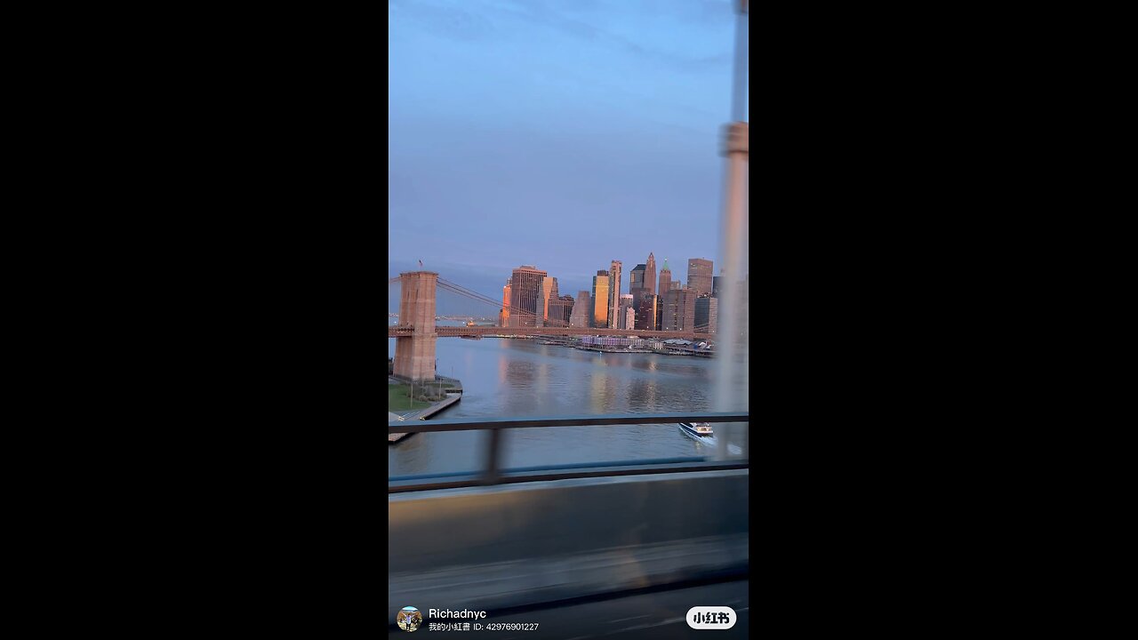 We love New York