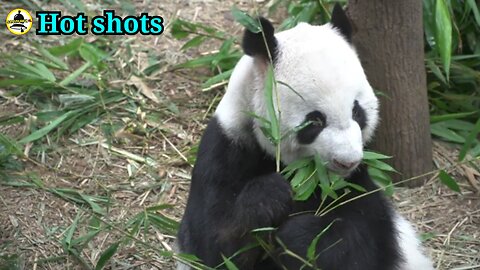 Environmental pollution in zoos