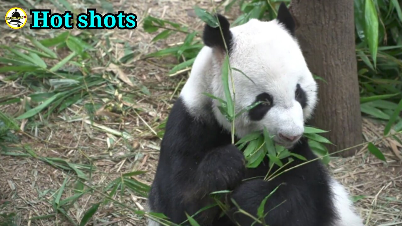 Environmental pollution in zoos