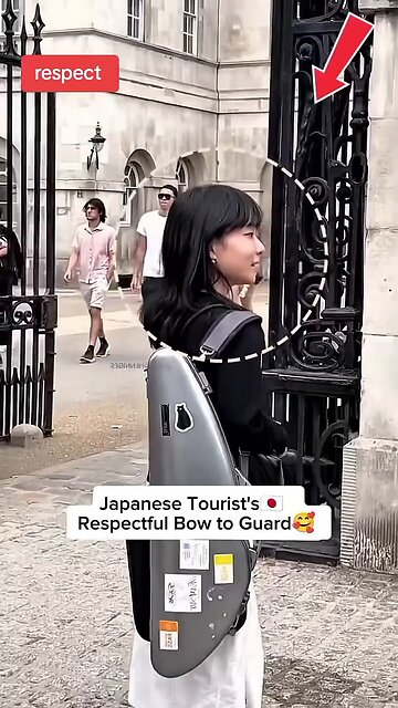 This Is What Manners Look Like