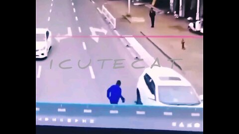 🎉Happy birthday everyone🌞It's To LAUGH When Watching This Video Cute DOG|cute cat|Please Follow me