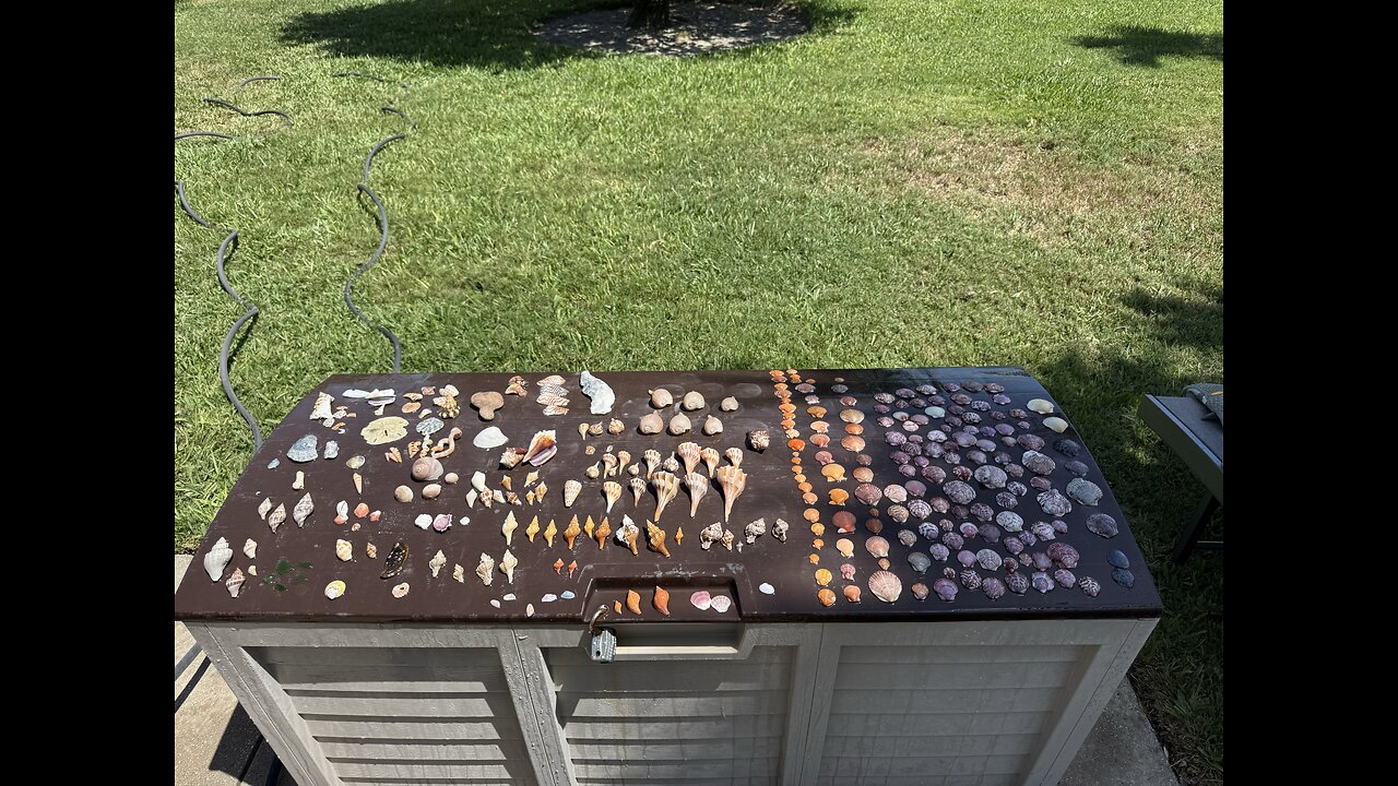 Beach Finds 5/15/2025 | 4K