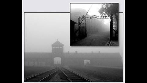 WHAT ANALYSTS SAY ABOUT THE 🚪 GAS CHAMBERS IN GERMANY DURING WW2