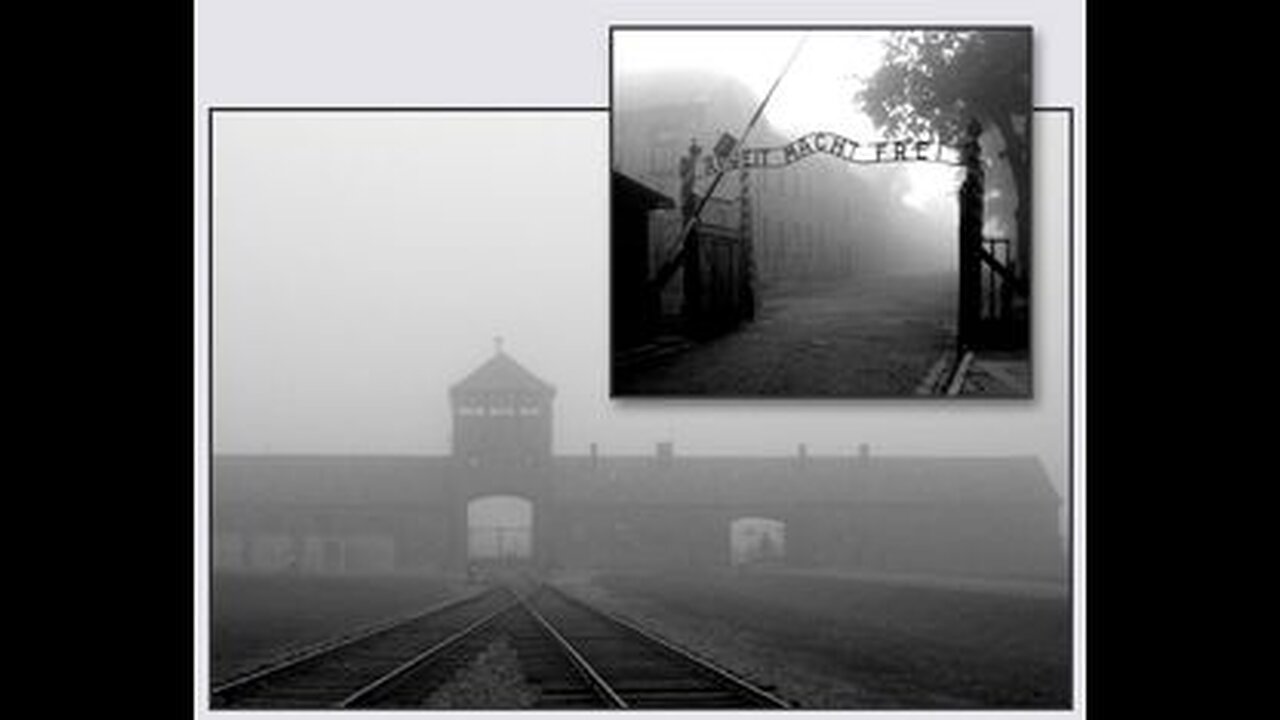 WHAT ANALYSTS SAY ABOUT THE 🚪 GAS CHAMBERS IN GERMANY DURING WW2