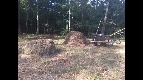 Blending The Compost Pile 8/28/25