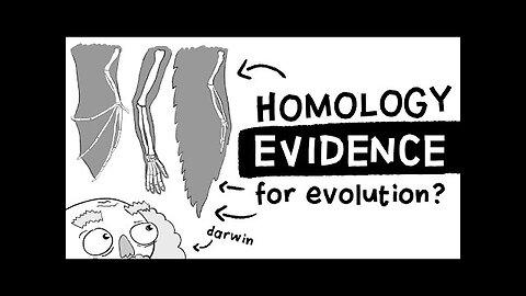 Is Homology Evidence for Evolution?