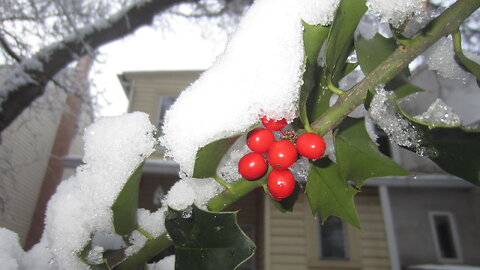 The Sound of Silence in the Snow - Raul Malo