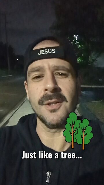 Just like a tree... #disciple in #Jesus be #ready to #help