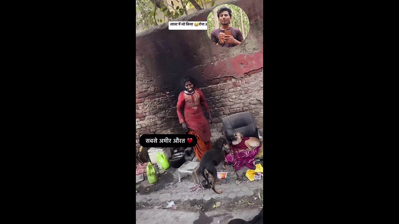 She Begs to Survive… But Feeds 75 Dogs Every Day 🐶💔"
