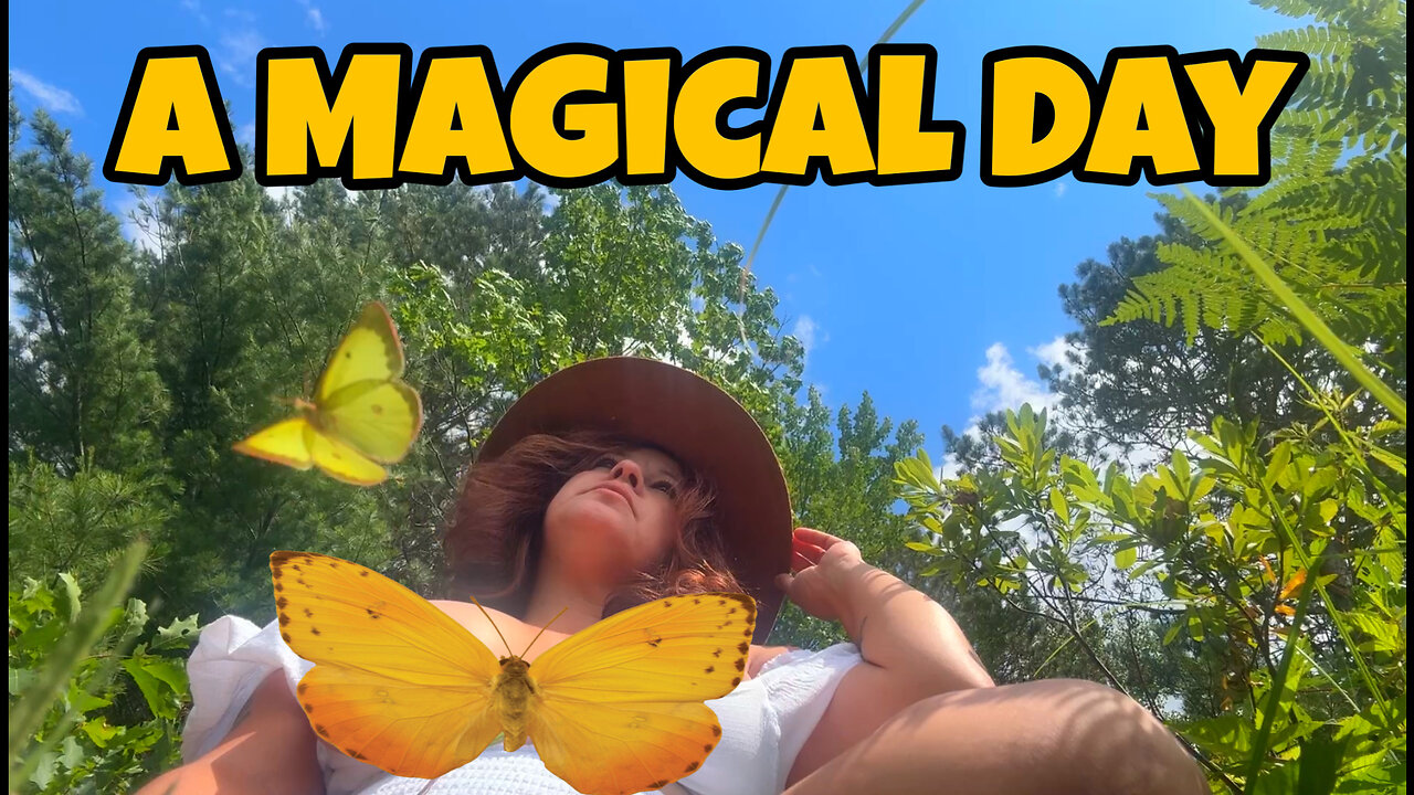 Im falling in love with Michigan