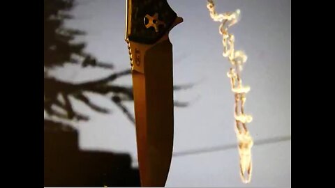 ~Forced Blood Letting~