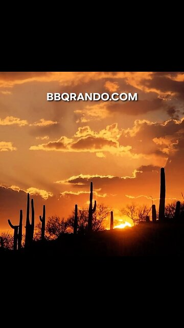 Good night 😴 from BBQRANDO.COM 🍖 🌵