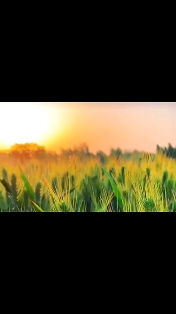 THE WAY OF FAITH - DAILY DEVOTIONAL ❤️