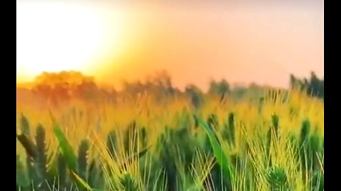 THE WAY OF FAITH - DAILY DEVOTIONAL ❤️