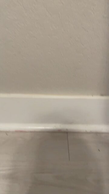 The funny Mario bros. Halloween special trailer