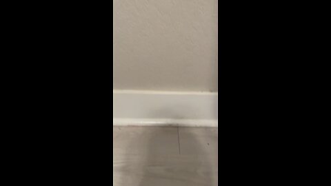 The funny Mario bros. Halloween special trailer