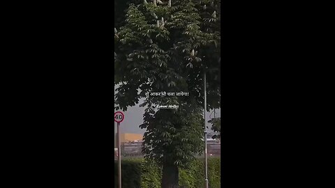 satisfying Video