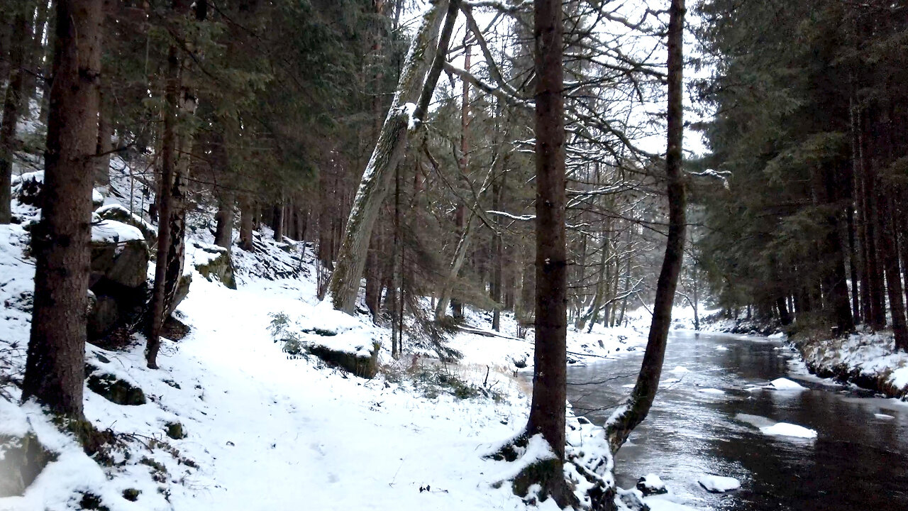On The Old Mill Route - Walking In Crunchy Snow At The River ASMR