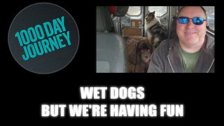 1000 Day Journey 0901 Wet Dogs but We're Having Fun