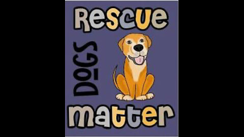 Dog adoption nazi’s