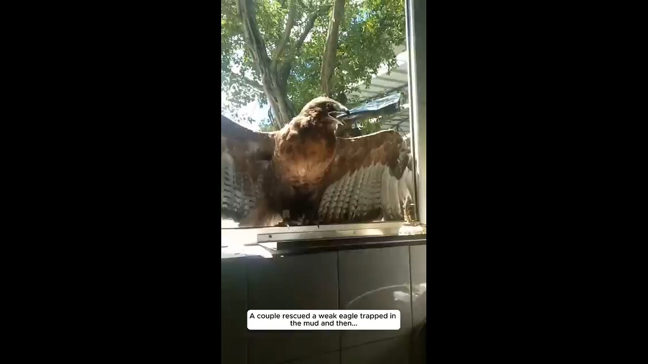 eig