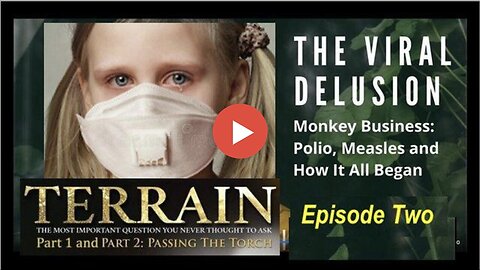 "Part 2 of The Viral Delusion"
