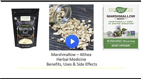"Benefits, Uses and Side Effects of Marshmallow Root Herbal Medicine"