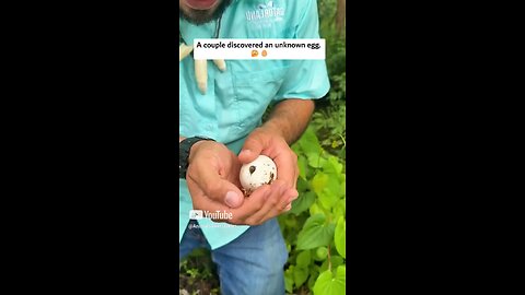 they found a mystersious 🥚