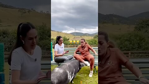 funny animals compilation #funnyanimals #animals #pets #shorts