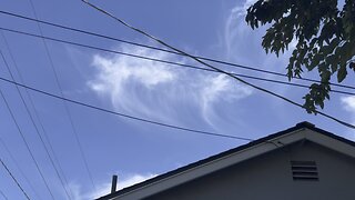 Dragon/Witch Fish Cloud - 8/23/25